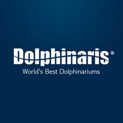 Niños y delfines: ¿Cuáles son los mejores programas para ellos?