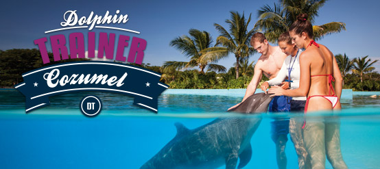 Entrenador de delfines en Cozumel con todo incluido. Entrenador de delfines en Cozumel con todo incluido.