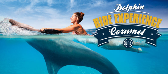 Experiencia de nado con delfines en Cozumel con todo incluido. Experiencia de nado con delfines en Cozumel con todo incluido.