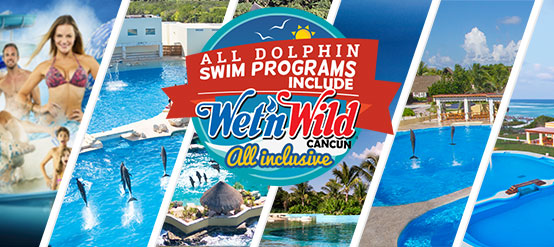 Book a Dolphin Swim Program and get a Free Admission to Wet’n Wild! Book a Dolphin Swim Program and get a Free Admission to Wet’n Wild!