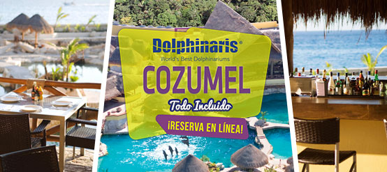 Nada con delfines en Cozumel México con alimentos y bebidas ilimitadas. Nada con delfines en Cozumel México con alimentos y bebidas ilimitadas.