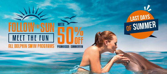Book your dolphin swim in advance and save up to 50% Book your dolphin swim in advance and save up to 50%