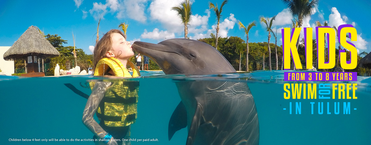 swimming with dolphins in tulum dolphinaris