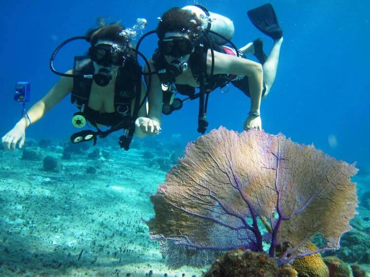 diving in cozumel