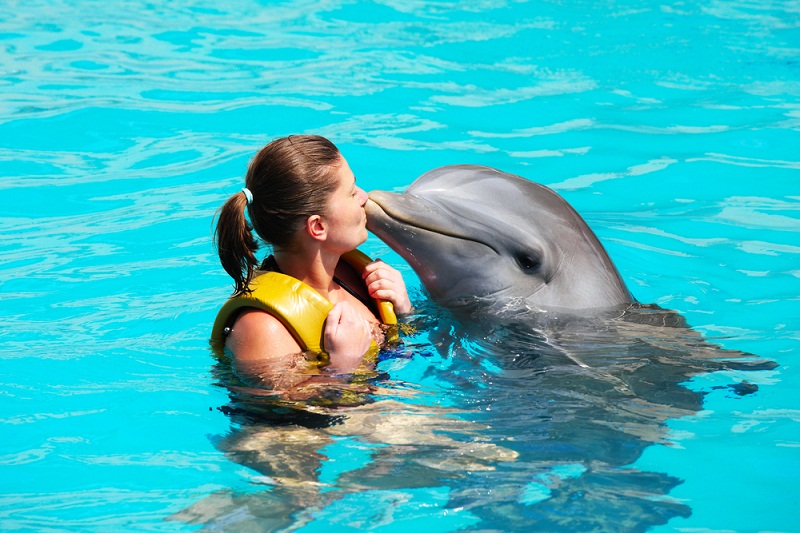 Swimming with dolphins are a great choice in Cancun