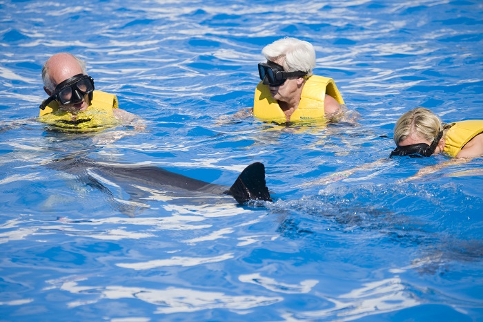 And of course swimming with dolphins in Tulum