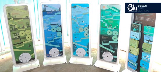 Dolphinaris Blu Ocean Care Station