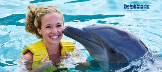 Encuentra los MEJORES precios para nado con delfines