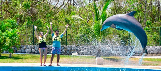 Entrenador por un día en Dolphinaris Riviera-Maya