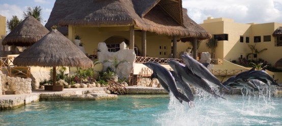 Swimming with dolphins at Dolphinaris facilities in Cozumel