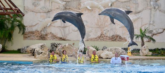 Cancun's best dolphinarium