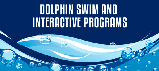 Know our dolphin swim and interactive programs