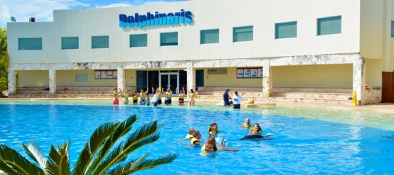 The best dolphin swim in Cancun