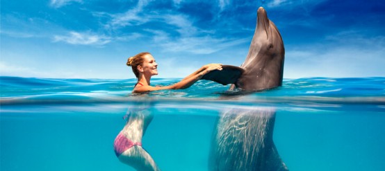 Make your dreams come true, swim with dolphins!