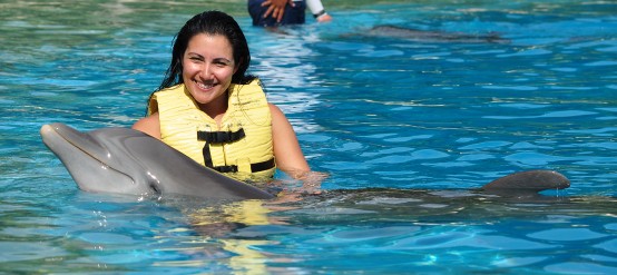 Swimming with dolphins in warm water and enjoying the best time