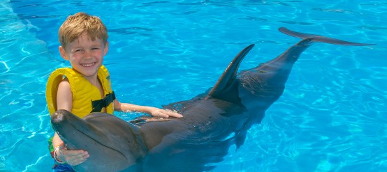 Dolphins and kids get along just fine!
