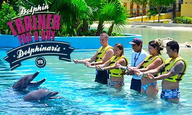 Trainer for a Day in Dolphinaris Riviera Maya Park