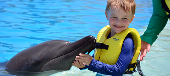 Swim with dolphins and your kids. It's a magical experience.