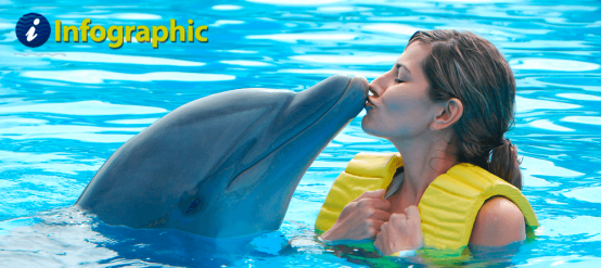 Dolphins are great friends