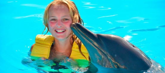 ¿Donde nadar con delfines? En la Riviera Maya por supuesto!