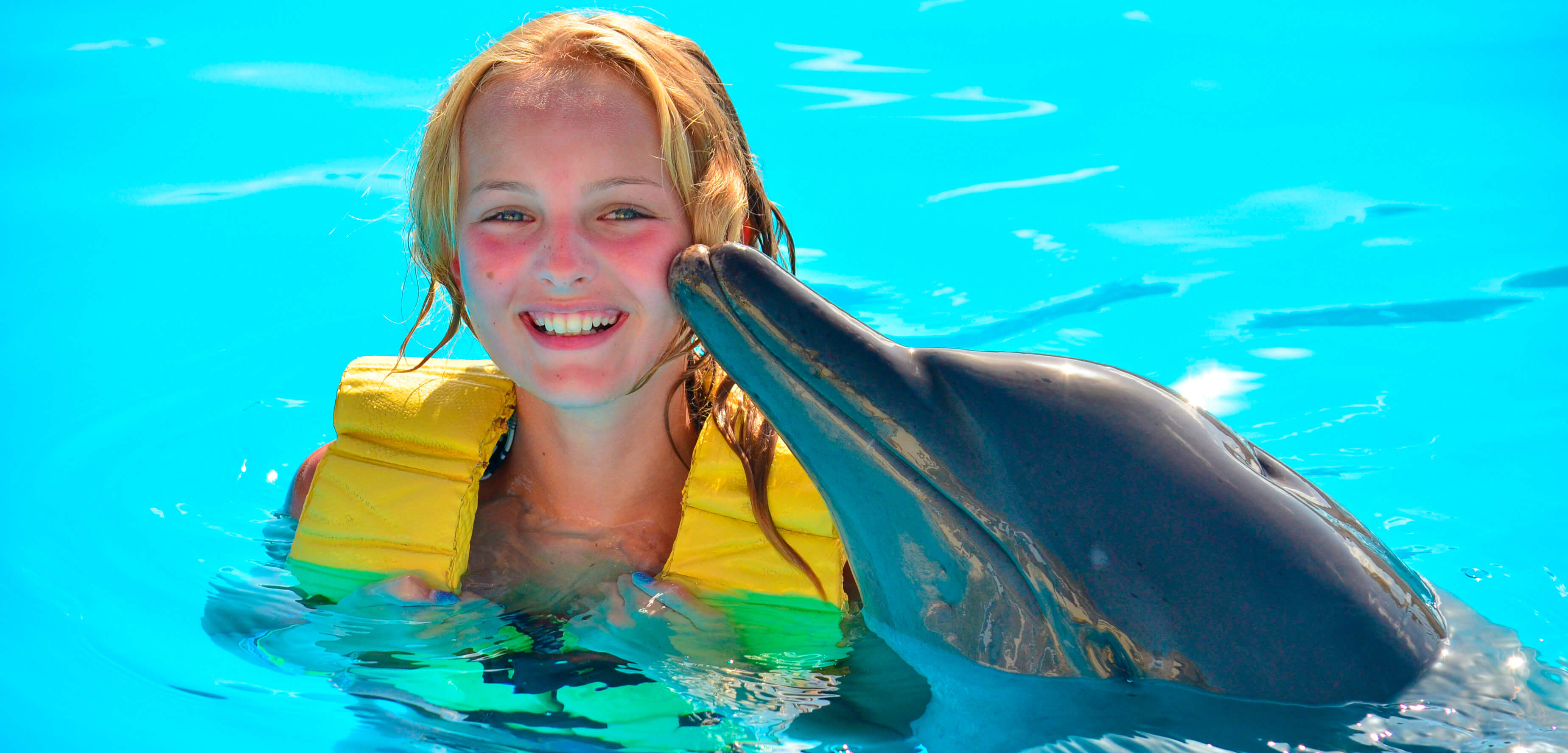 best swim with dolphins