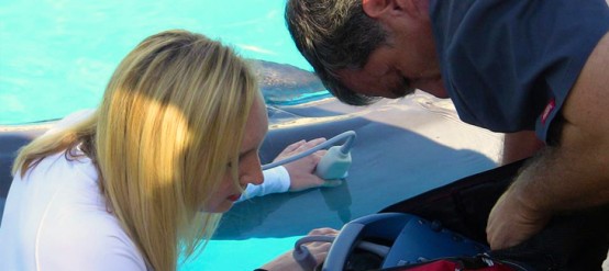 Learn more about AQUAVET® III program